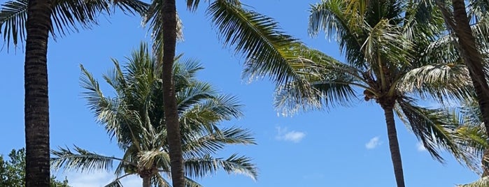Key Biscayne Beach Club is one of Miami.