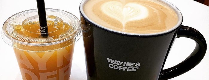 Wayne's Coffee is one of Our Best places 4or coffee or cup of tea.