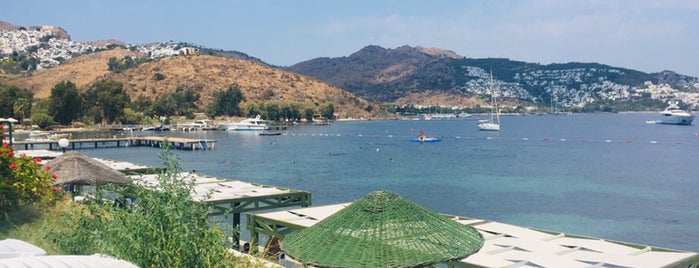 Bank-ev Plaj Tesisleri is one of aksamları guzel bır yer.