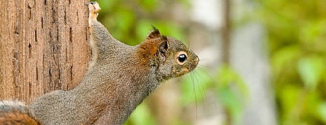 Richmond Nature Park is one of Orte, die Fabio gefallen.