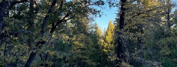 Yosemite Park is one of USA - California.
