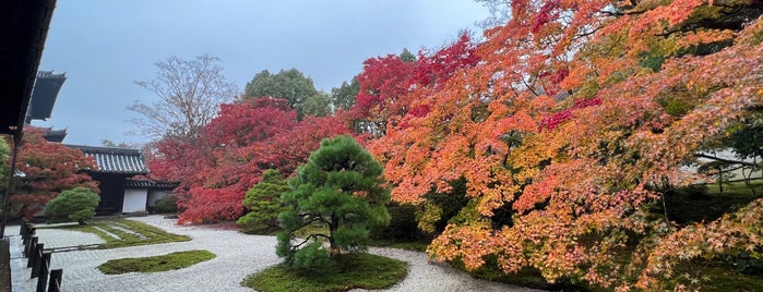 天授庵 庭園 is one of Kyoto.