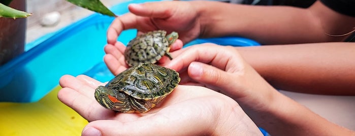 Aquaworld Aquarium is one of Chersonissos.