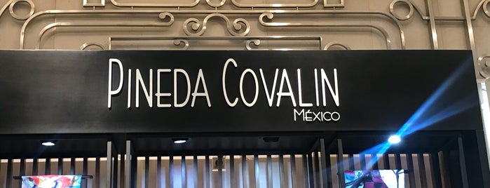 Pineda Covalin is one of Mexico places to visit.