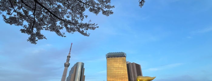 Sumida Park is one of Tokyo - II (Sumida/Taito/Koto, etc.).