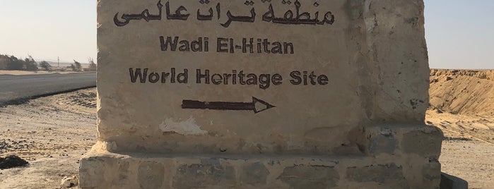 Wadi Al Hitan - Valley of the Whales is one of Africa.
