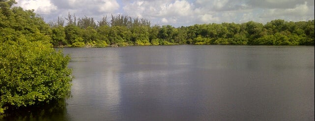 Graeme Hall Nature Sanctuary is one of Barbados - Free WiFi.