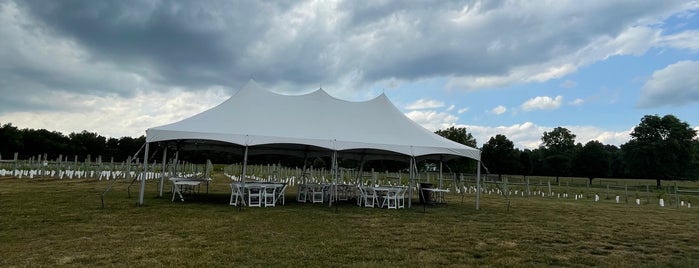 Harvest Ridge Winery is one of Vineyards, Breweries, Beer Gardens.