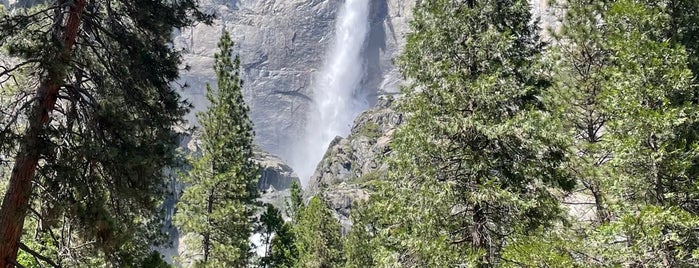 Lower Yosemite Falls is one of Between SJC and LAS.