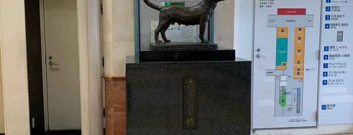 忠犬タマ公像 is one of สถานที่ที่ ヤン ถูกใจ.