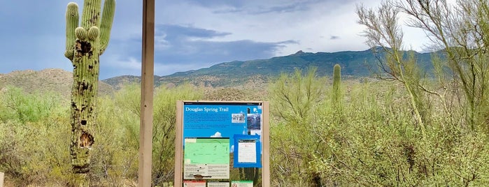 Douglas Springs Trailhead is one of eric : понравившиеся места.