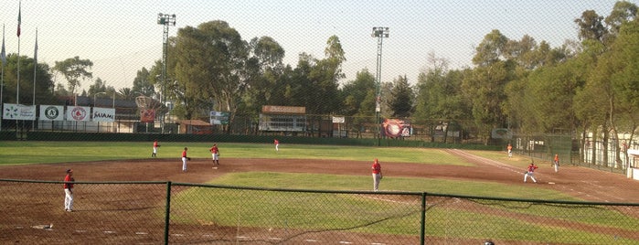 Liga de Beisbol Petrolera is one of Lugares Favoritos.