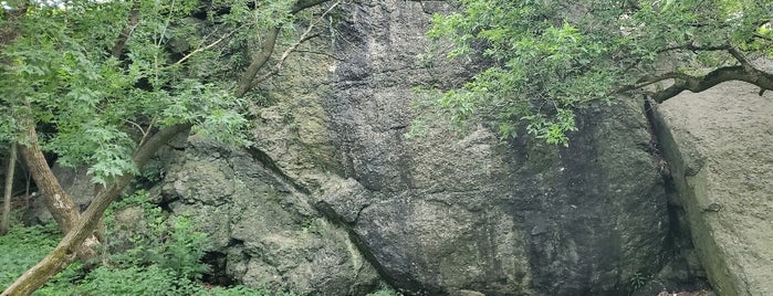 Nira Rock Urban Wild is one of City of Boston- Parks.