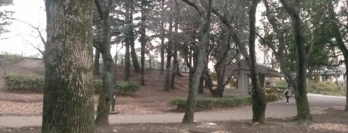 Johoku Chuo Park is one of ドッグカフェ＆ドッグラン.