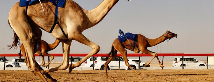 Dubai Camel Racecourse is one of Dubai.