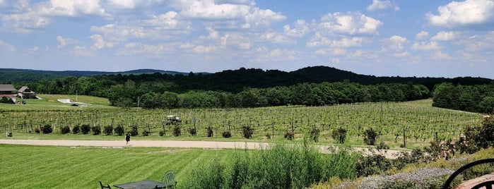 Chaumette Vineyards & Winery is one of Favorite Wineries..