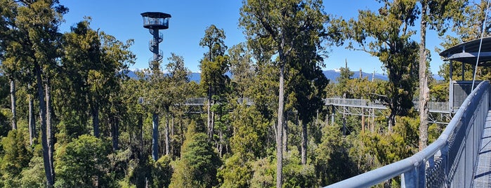 West Coast Treetop Walk is one of NZL New Zealand.