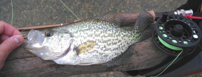 Four Mile Run Park is one of Places to fish.