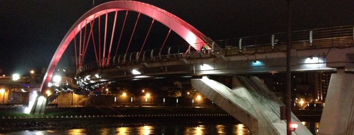 Rainbow Bridge is one of RAPID TOUR around TAIPEI.