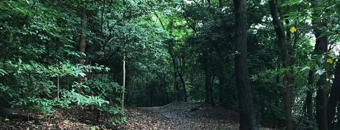 都立 大井緑道公園 is one of 品川.