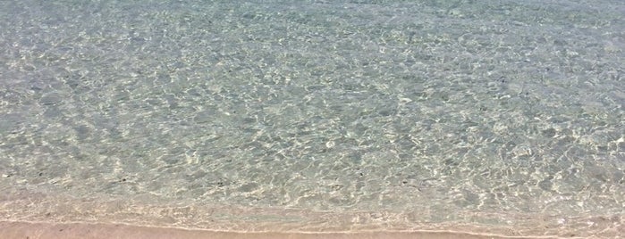 Playa De Tanga is one of Formentera.