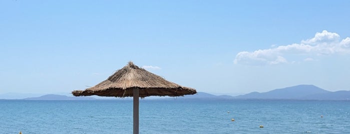 TUZ Beach Bar is one of Evia.