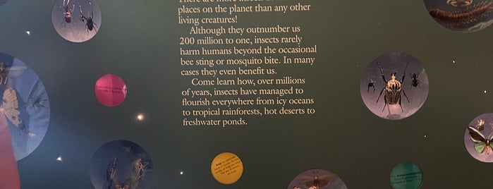Insect Zoo at Smithsonian National Museum of Natural History is one of 3 Days In DC.