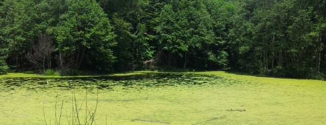 Lacul Gotes is one of Locais curtidos por Krzysztof.