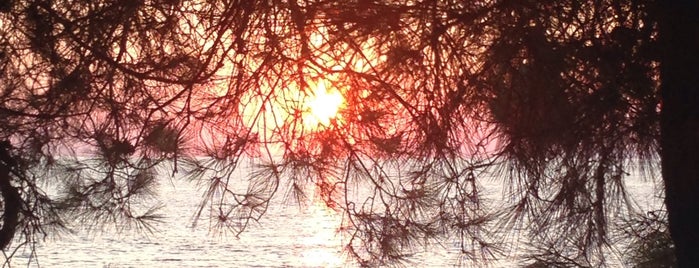 Agios Antonios Beach is one of Θάσος (Tasos) during summer.