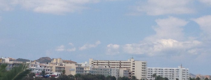 Restaurante Es Mollet is one of Francisco’s Liked Places.