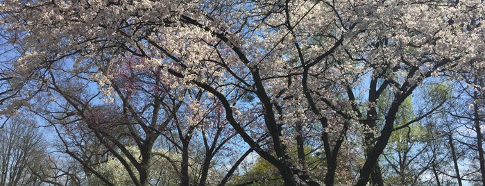 Ostpark is one of Frankfurt: sights.