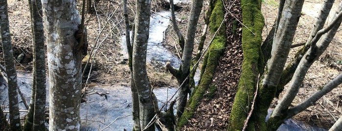 Eriklitepe Tabiat Parkı is one of Kocaeli-Sakarya-Bolu.