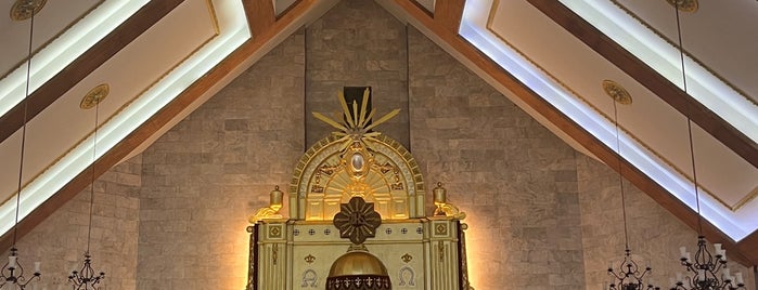 Diocesan Shrine of Santo Niño is one of Diocese of Cubao.
