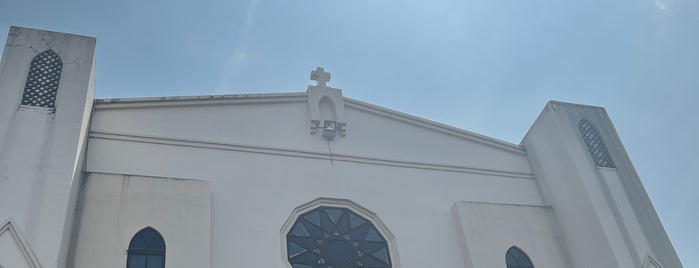 Carmel of St. Therese of The Child Jesus is one of Diocese of Cubao.