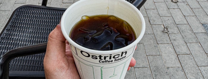 Ostrich is one of Riyadh coffee.