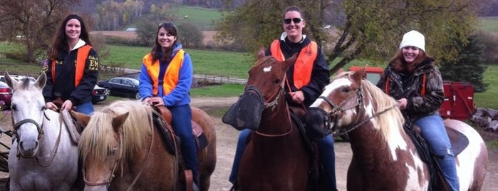 Cross Patch Horseback Riding is one of NY Places I Want To Check Out.