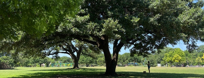 Butler Park (formerly Town Lake Park) is one of Ben's Saved Places.