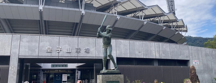 マイネットスタジアム皇子山 is one of プロ野球の野球場.