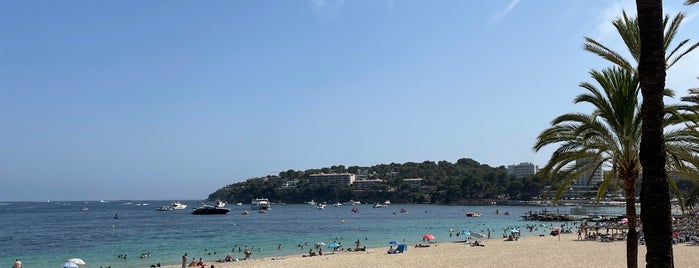 Ocean Club Mallorca is one of Majorca.