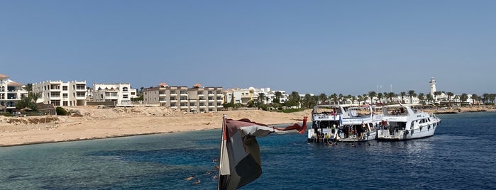 Ras Bob Dive Site is one of Sharm El Sheikh.