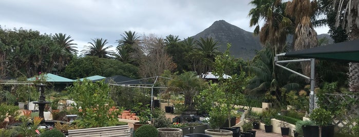 Noordhoek Garden Emporium is one of Dstv Cape Town 0640419214.