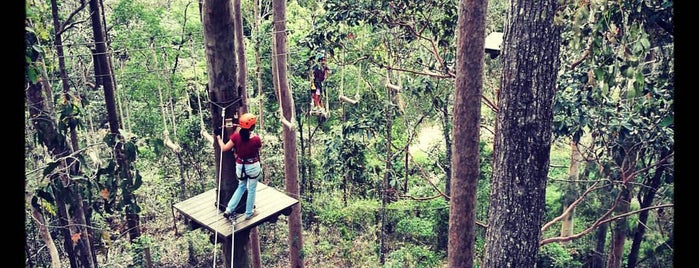 Tree Top Challenge is one of Lugares favoritos de Anthony.