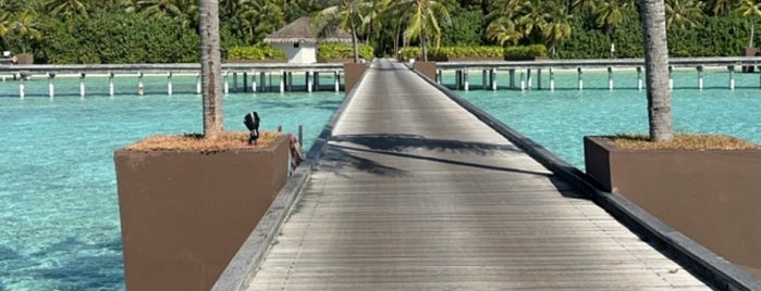 Niyama Maldives is one of Maldives - Seychelles - Ile Maurice.