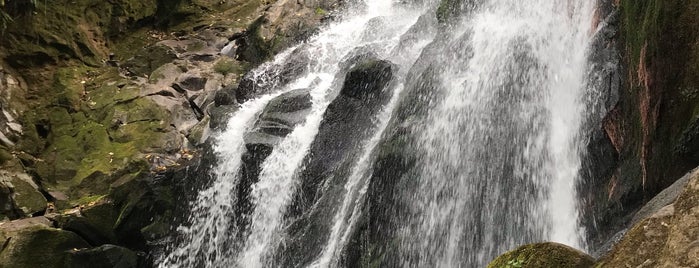 Cascada de la Monja is one of Turismo en los alrededores de Xalapa.