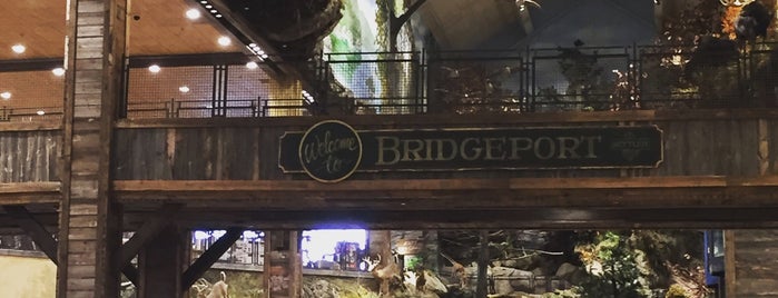 Bass Pro Shops is one of Karl’s Liked Places.