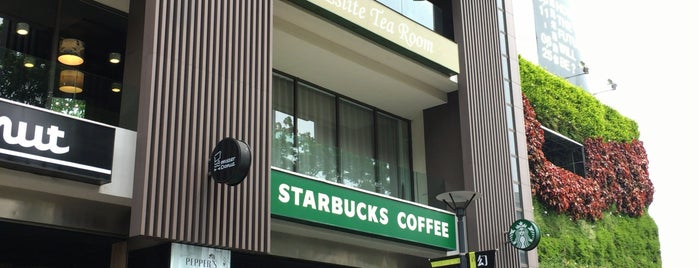 Starbucks is one of My cafe.