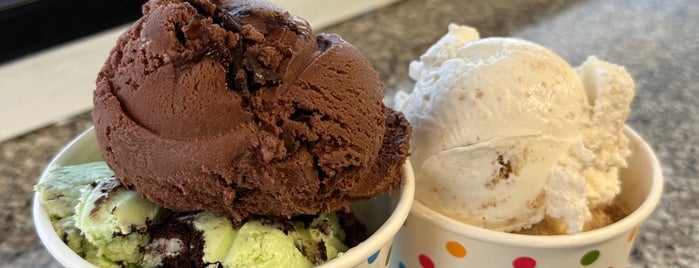 Ryan's Homemade Ice Cream is one of Red Bank.
