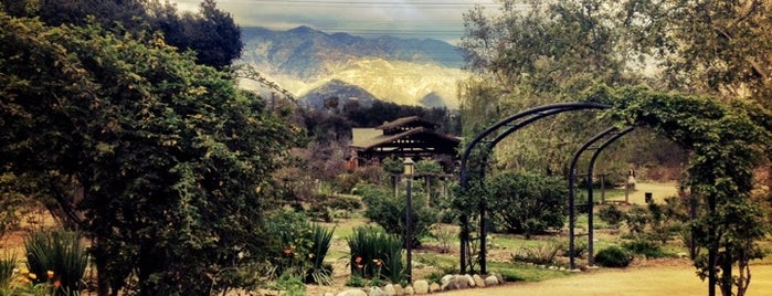 Descanso Gardens is one of LA.