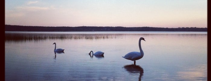 Juglas ezers (Jugla Lake) is one of Ieva’s Liked Places.