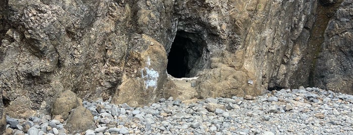 Oceanside Beach Tunnel is one of Hwy 101 - Redwoods.